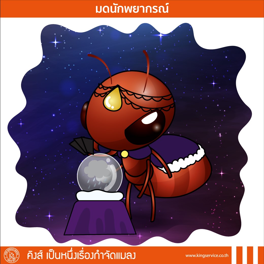 My Image 30