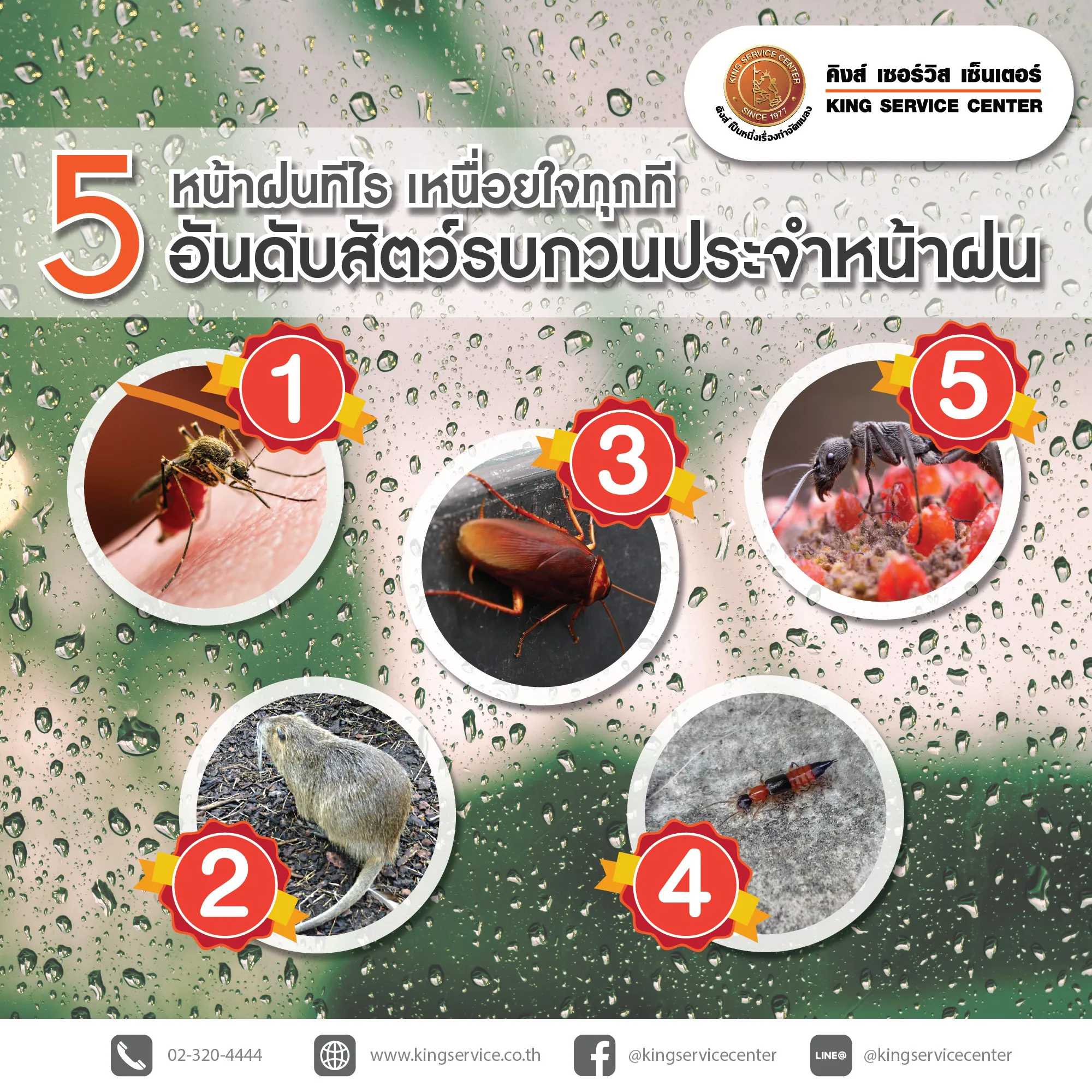 ฝน วา ได นง รถ บส คน ใหญ - wxsjt09