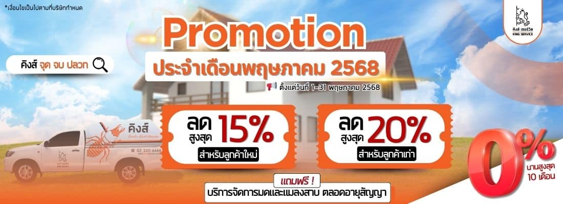 โปรหน้าweb (7)