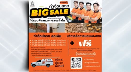 คูปอง Big Sale กำจัดปลวก