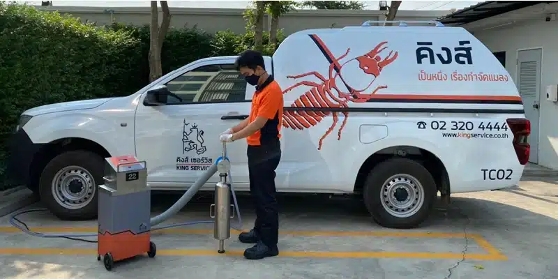 กำจัดปลวก ราคาเท่าไหร่? สรุปค่าบริการปี 2026